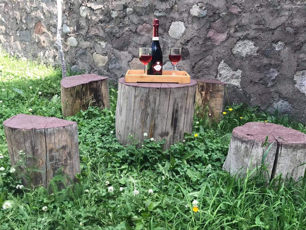 Отель Гостевой дом Кристалл Казбеги Экстерьер фото