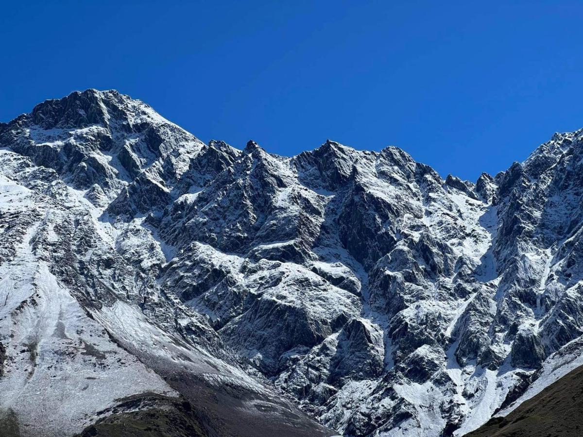 Отель Гостевой дом Кристалл Казбеги Экстерьер фото