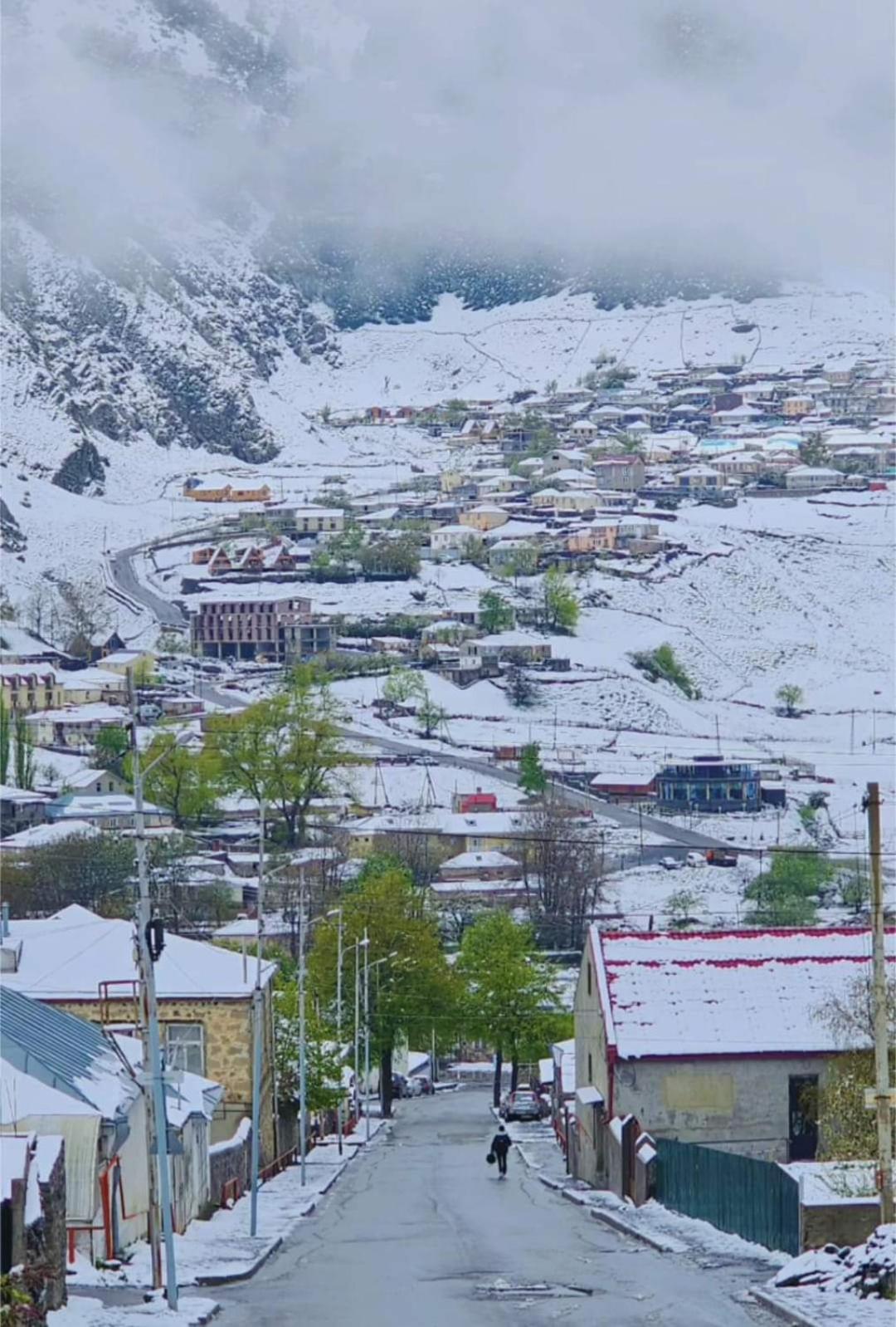 Отель Гостевой дом Кристалл Казбеги Экстерьер фото
